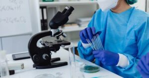 what does a mold inspection report look like